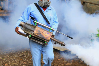 Fumigation services in Davao City