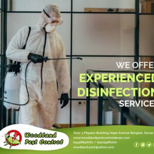 We offer experienced disinfection services for homes, autos, offices, groceries …