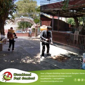 General Pest Control
 Misting Services
 Disinfection Services
 For more detai…