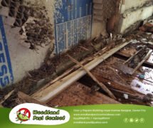 General Pest Control Davao