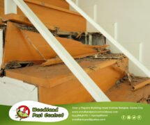 Best Pest Control in Davao City