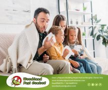 best pest control in Davao