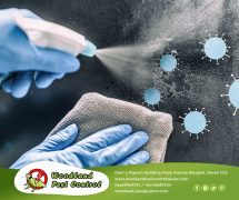 best pest control in Davao