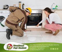 best pest control in Davao