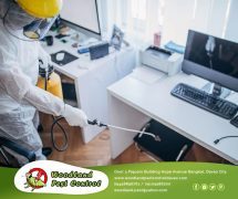 best pest control in Davao