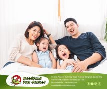 best pest control in Davao