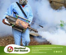 best pest control in Davao