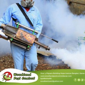 Did you know that fumigation does not harm…