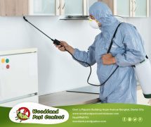 best pest control in Davao