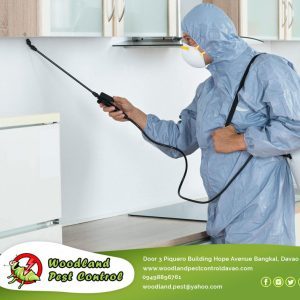 People do not consider hiring a pest control…