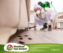 Best Davao pest control