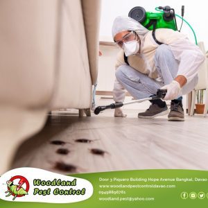 It doesn’t matter what type of business you’re in; pest control is essential.