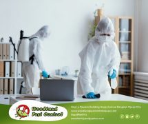 Best Davao pest control