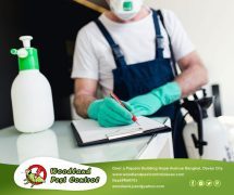 Best Davao pest control