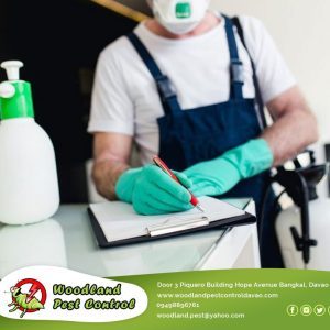 Condos, building premises, or single houses. We disinfect them all.