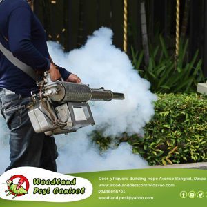 We believe in providing our customers with pest control solutions that are simple, effective and affordable.