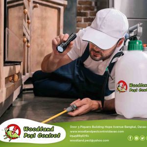 We provide fast, efficient and affordable pest control services