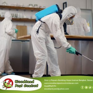 We’ll help you get rid of pests by spraying pesticides or using traps, but that’s not all.