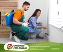 Best Davao pest control