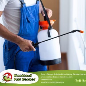 Whether you’re looking for a full-time exterminator or part-time pest control service