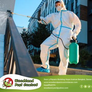 Spending your time and money on pest control services can be a tough decision.