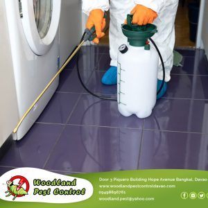 Due to the rapidly increasing costs of pest control solutions, getting the best value for your money is more important than ever.