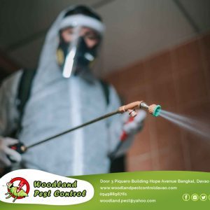 Our team of pest control experts is dedicated to providing efficient and effective solutions