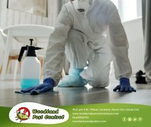 Best Davao pest control