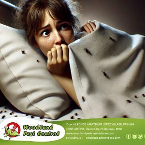 Say Goodbye to Bed Bugs for Good!