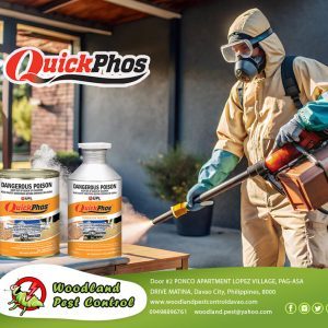 Got hidden pests eating away at your property or stored goods?